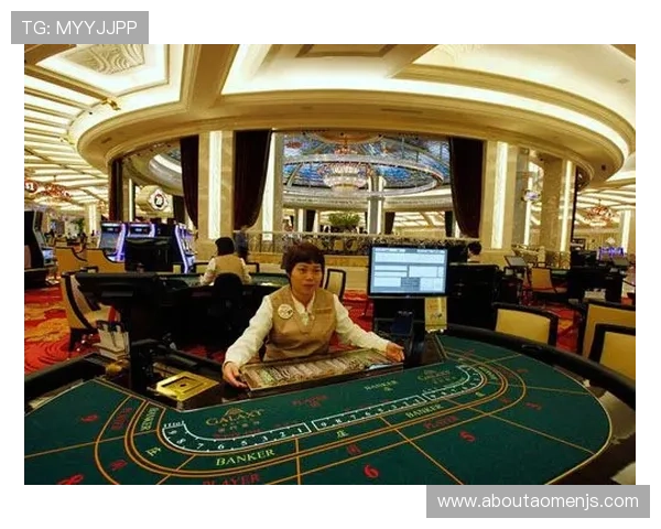 澳门最大赌场金沙的贵宾厅与普通区域的区别与体验差异