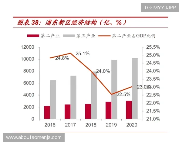 揭秘金沙国际计划背后的运营机制，助力玩家在激烈竞争中稳占优势位置